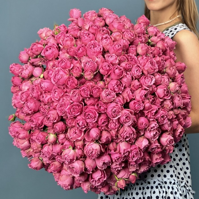 101 кустовая пионовидная Роза Мисти Баблс 60 см